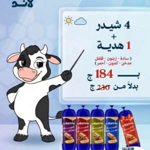 عرض  4 شيدر + 1 هدية